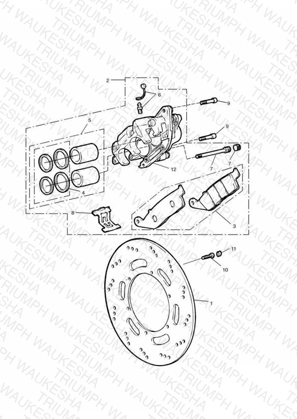Front Brake Caliper and Disc