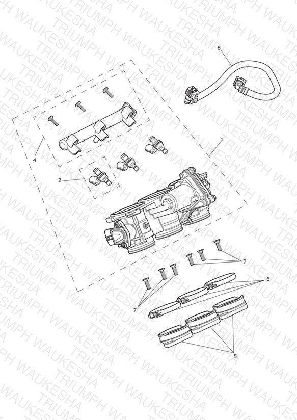 Throttles, Injectors and Fuel Rail