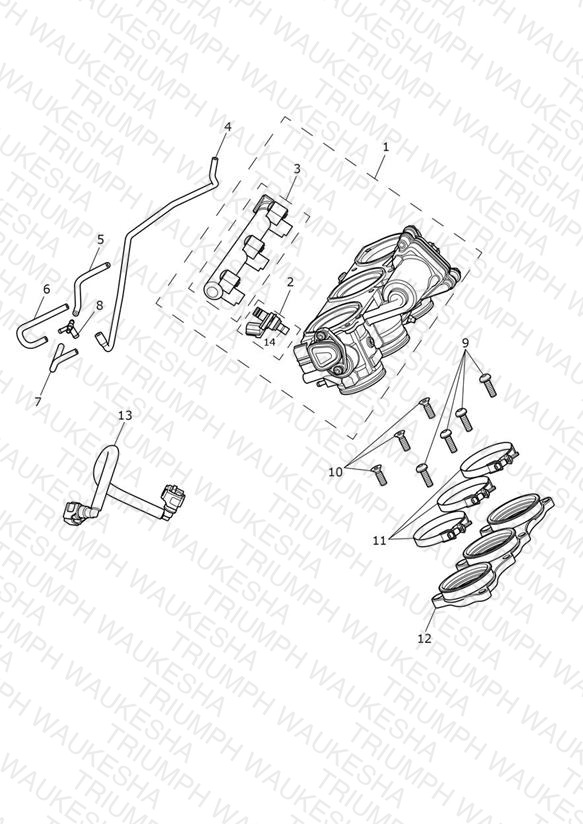 Throttles, Injectors and Fuel Rail