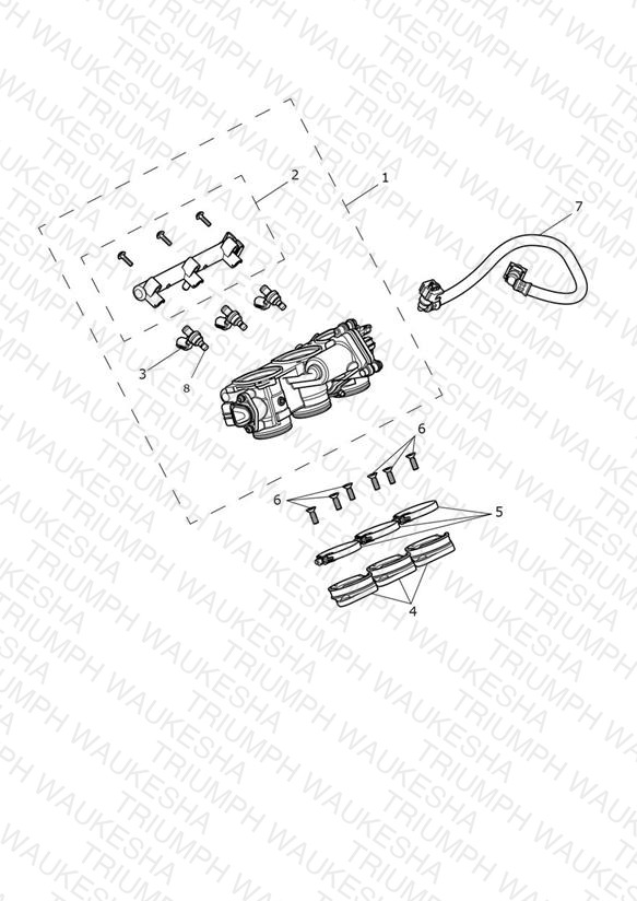 Throttles, Injectors and Fuel Rail