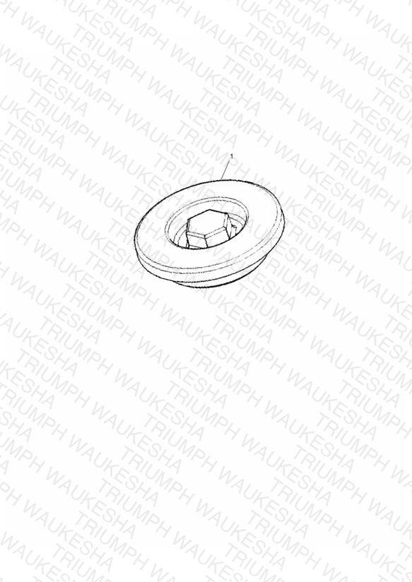 Inspection Cover