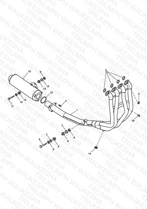 Exhaust System