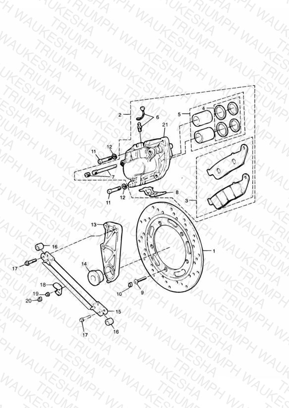 Rear Brake Disc and Caliper