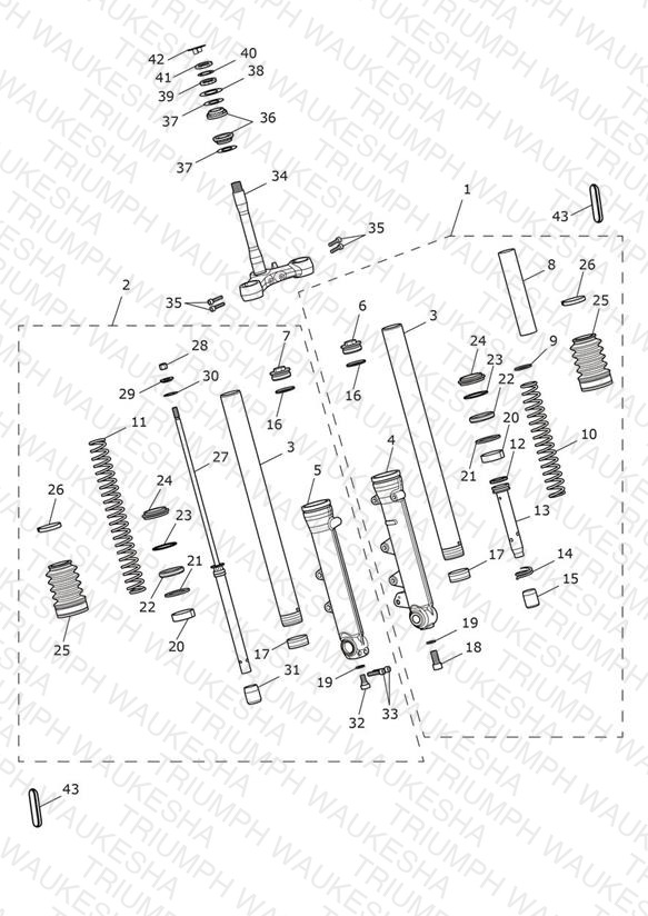 Front Forks & Lower Yoke