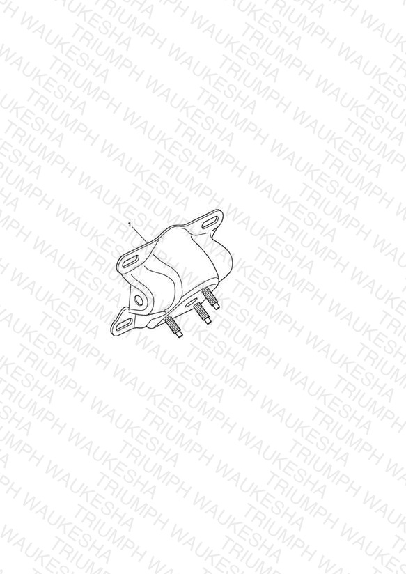 Number Plate Bracket, Chrome