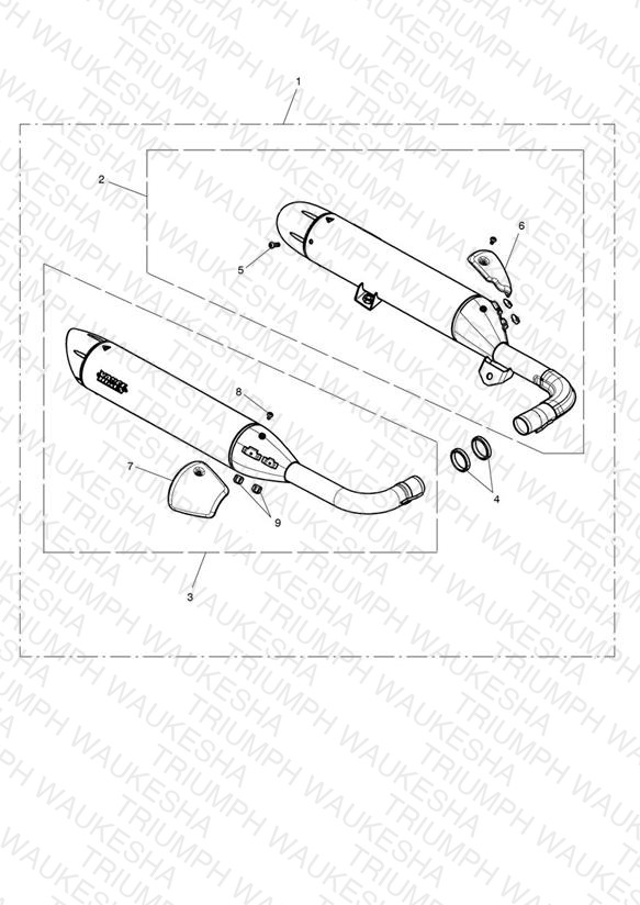 Silencer Pair, Homol, Brushed