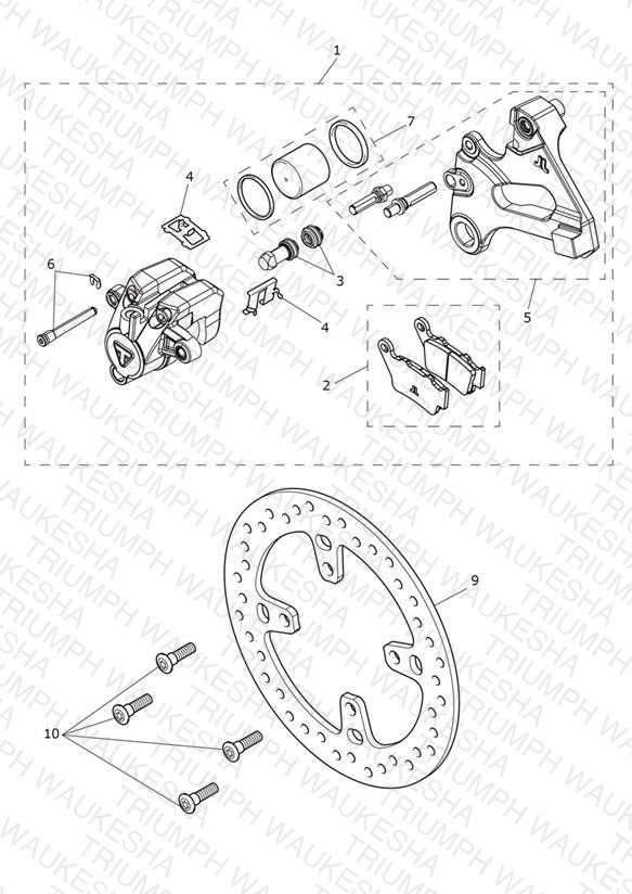 Rear Brake Caliper & Discs