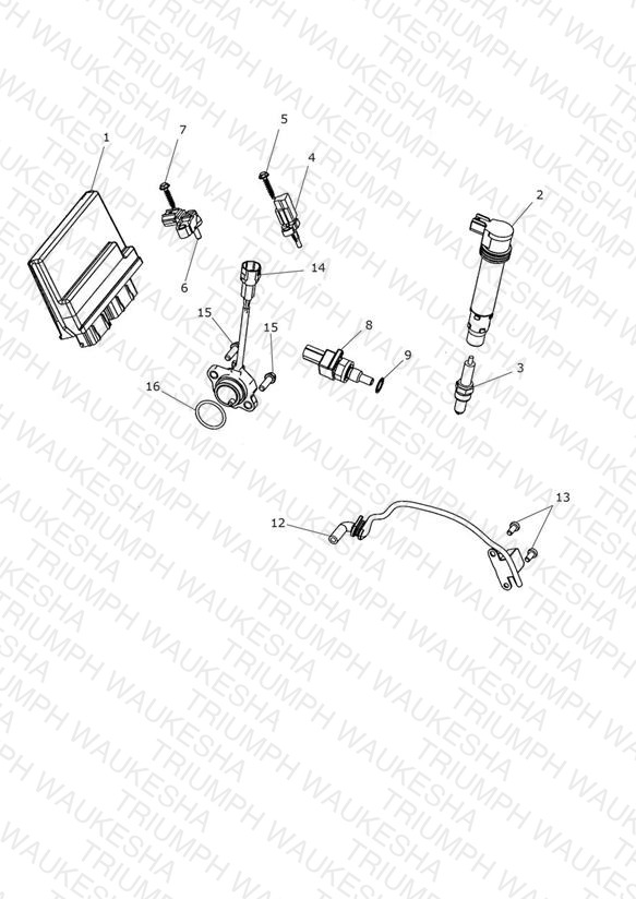 Engine Management System