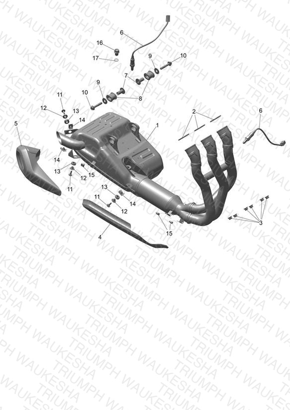 Exhaust System