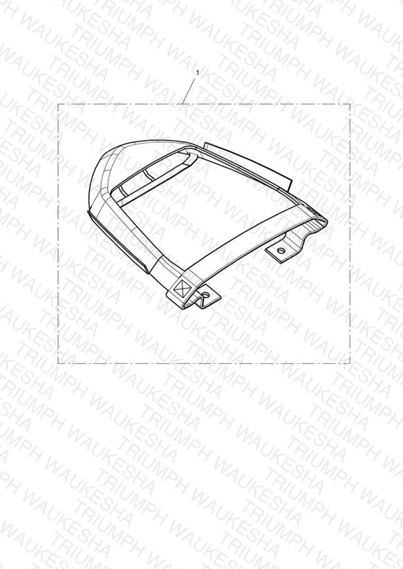 Harness, Tailpack, Pillion