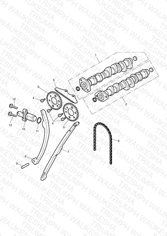 Camshaft & Camshaft Drive > Eng No 493832