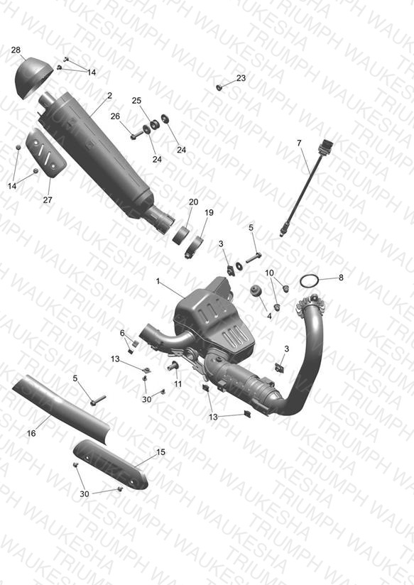 Exhaust System