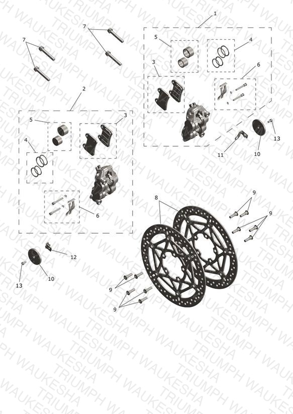 Front Brake Caliper & Discs