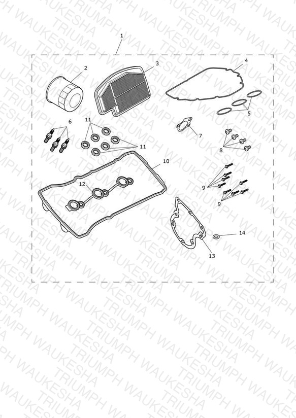 Engine Service Kit
