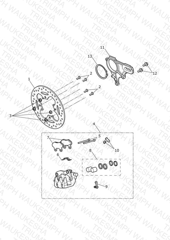 Rear Brake & Disc
