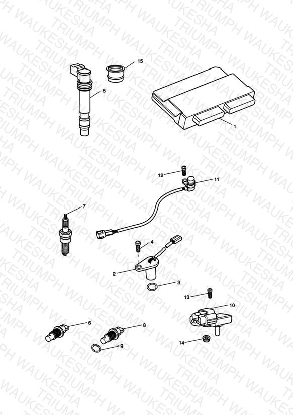Engine Management System