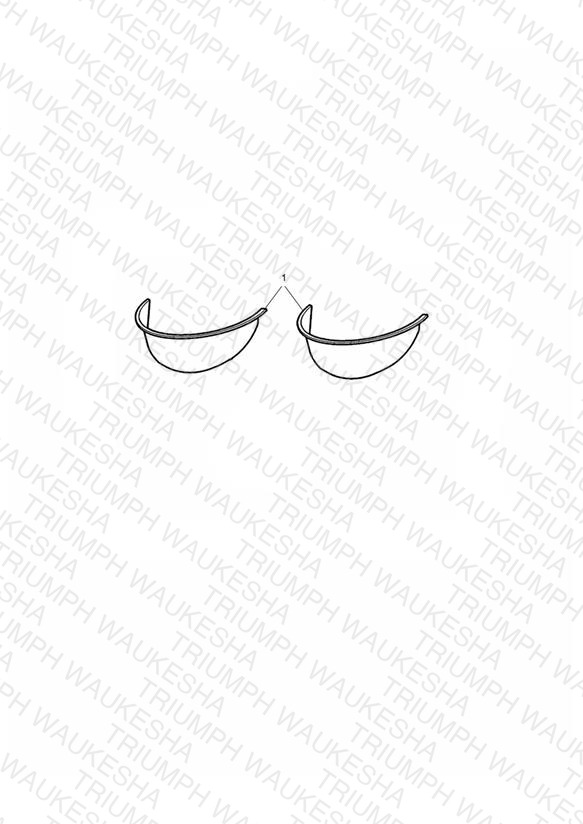 Auxiliary Lamp Visor Kit