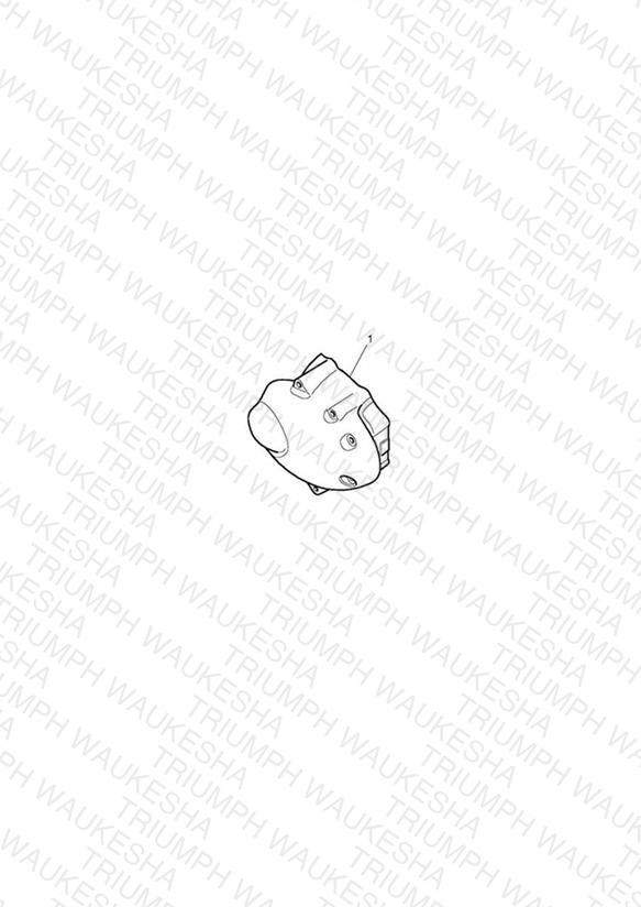Sprocket Cover Kit, Drilled, Chrome