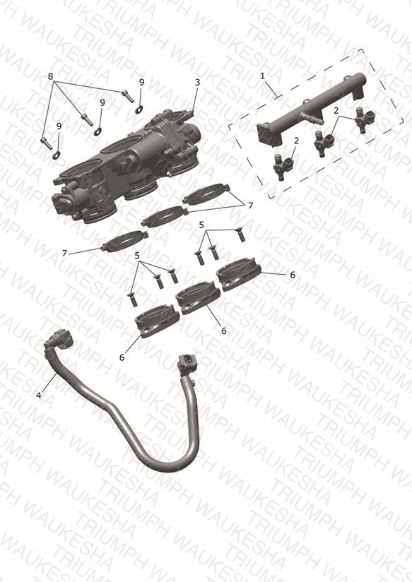 Throttle Bodies
