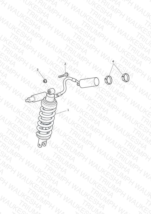 Rear Suspension Unit