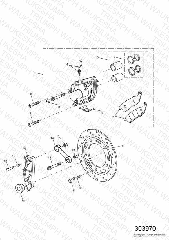 Rear Brake Disc and Caliper