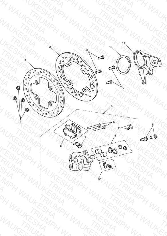 Rear Brake & Disc