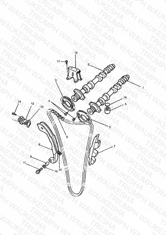 Camshaft and Drive