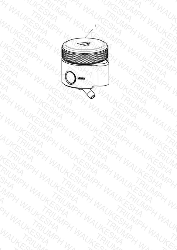 Front Brake Reservoir