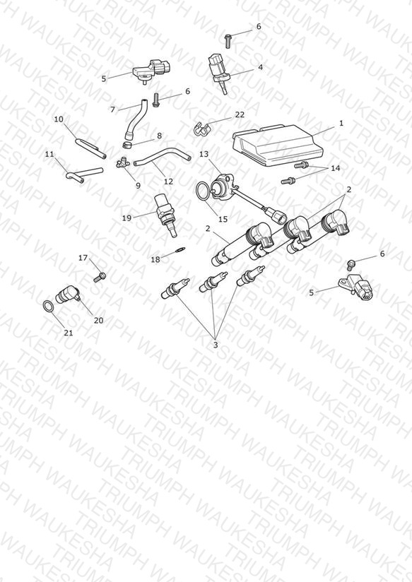 Engine Management System
