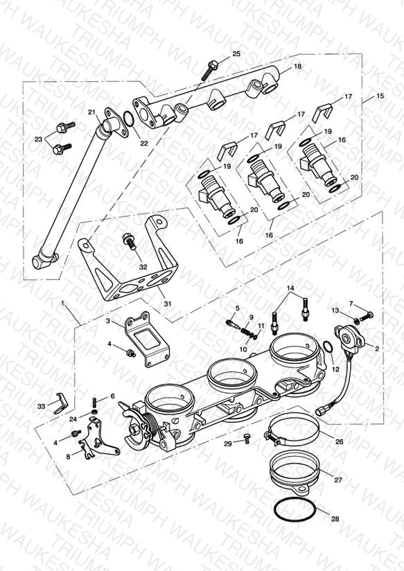 Throttles/Injectors and Fuel Rail 207555 >