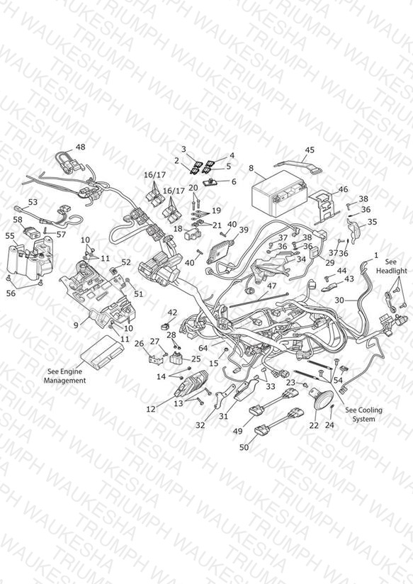 Electrical System