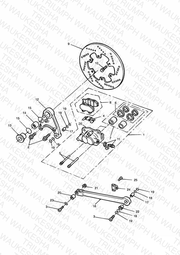Rear Brake Disc and Caliper Sprint Sport/Sprint Executive