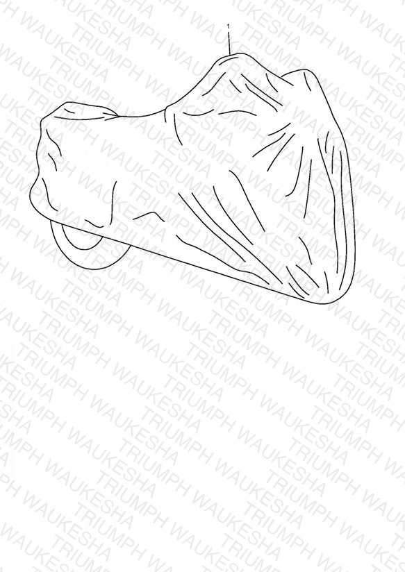 All Weather Cover, Large