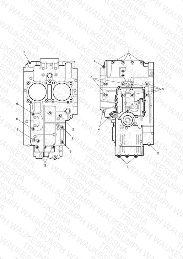 Crankcase Bolts