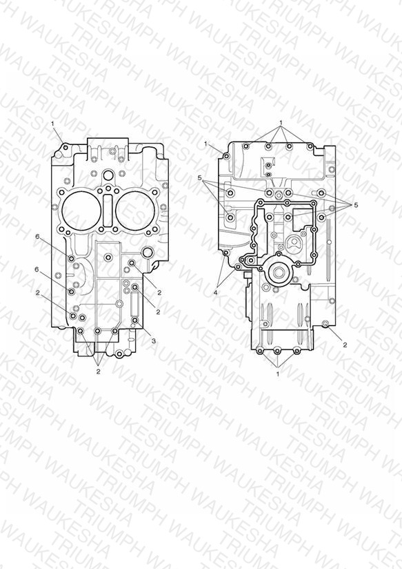 Crankcase Bolts