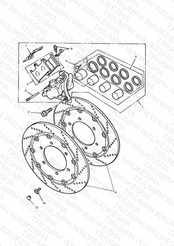 Front Brake Caliper and Disc