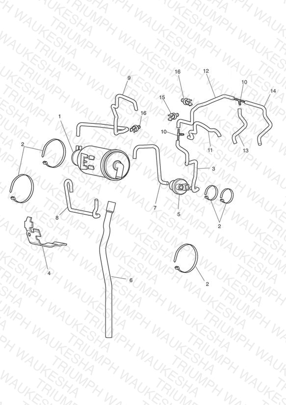 Evaporative Loss Control System - California Only (Not Roadster)