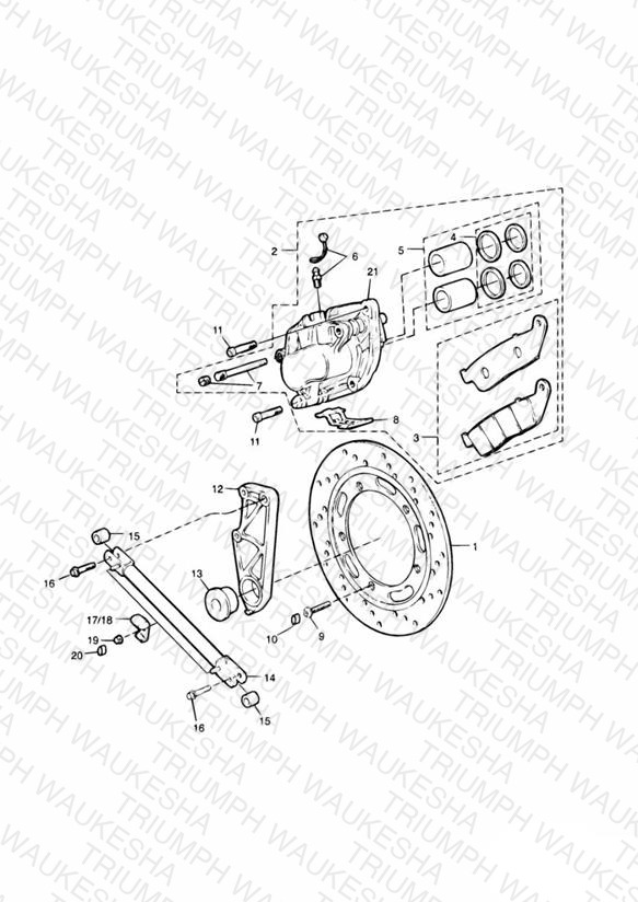 Rear Brake Disc and Caliper