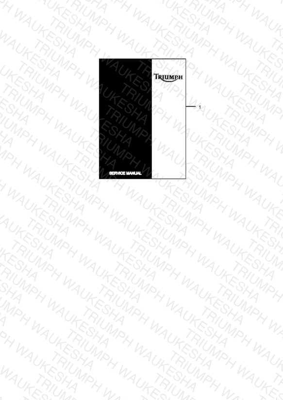 Service Literature