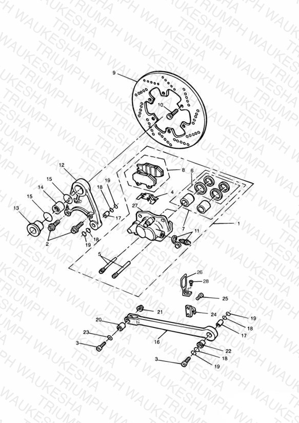 Rear Brake Disc and Caliper