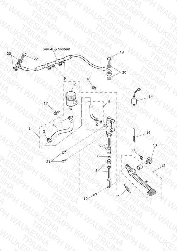 Rear Brake Master Cylinder, Reservoir & Pedal