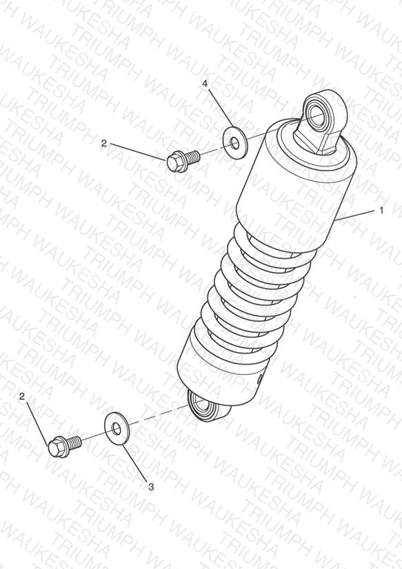 Rear Suspension Unit