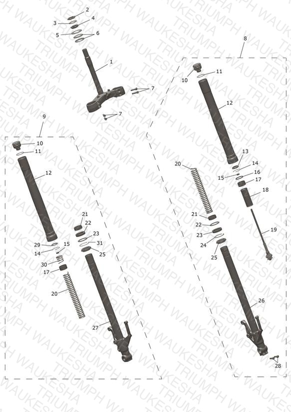 Front Forks & Lower Yoke Assy