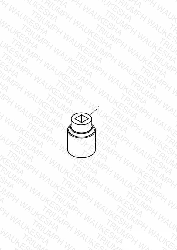 Rear Wheel Nut Socket
