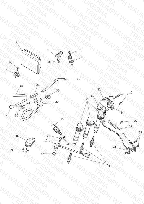 Engine Management System