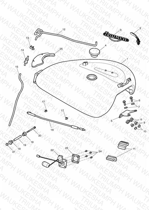 Fuel Tank & Fittings