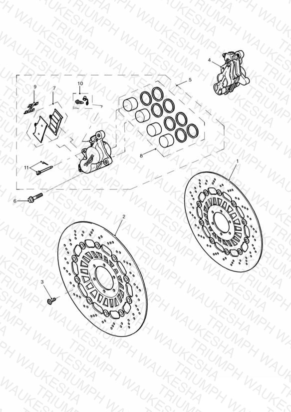 Front Brake Caliper and Disc