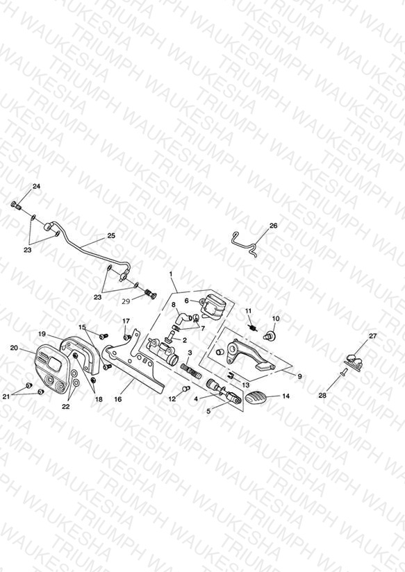 Rear Brake Master Cylinder, Reservoir & Pedal - Roadster