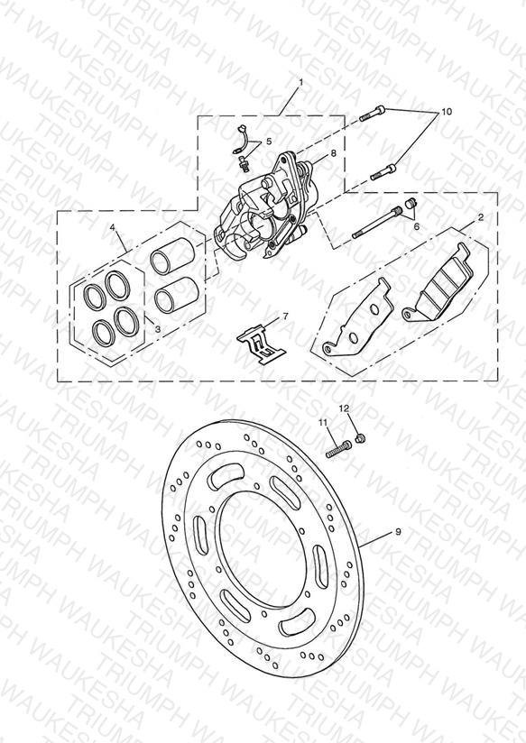 Front Brake Caliper & Discs