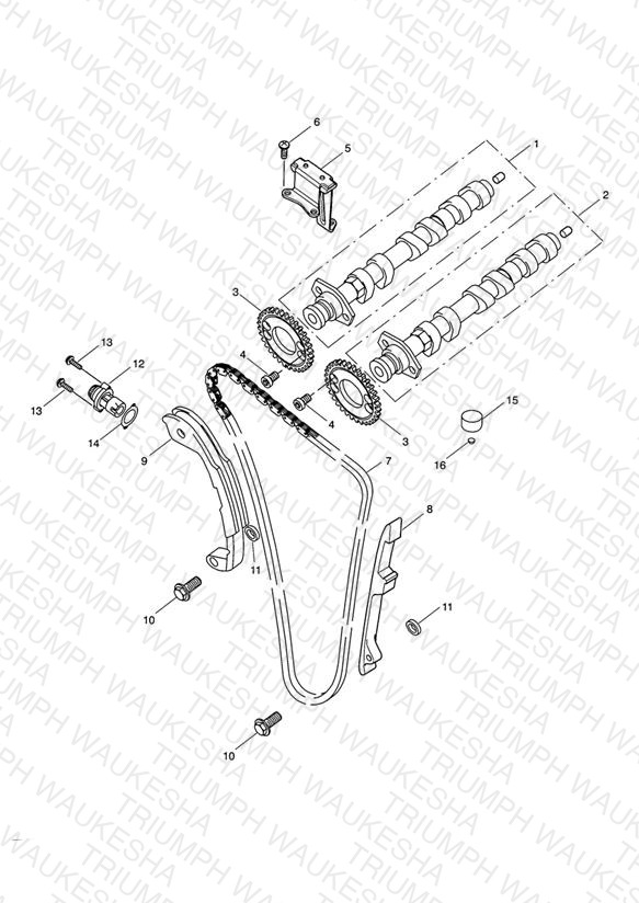 Camshaft & Camshaft Drive